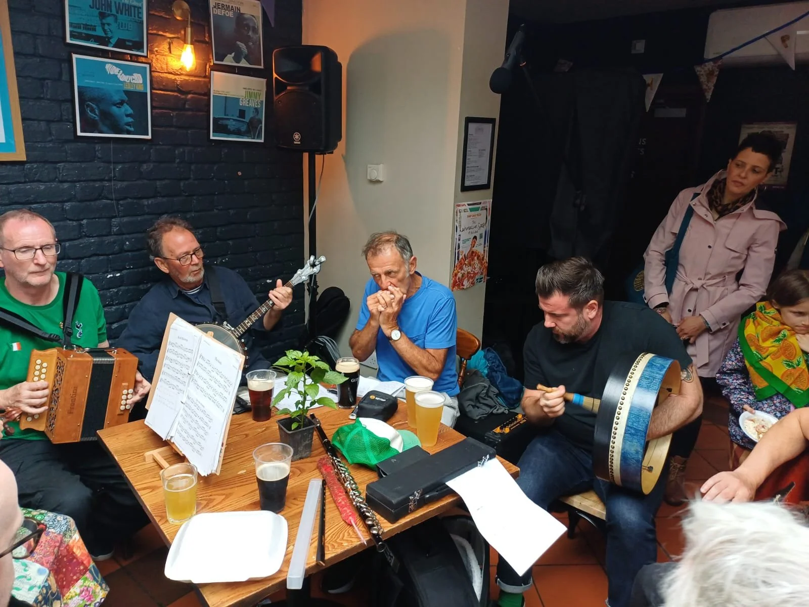 Irish Folk Music Session 