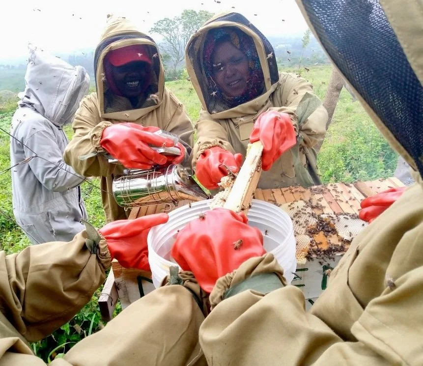 NARI-Womens-Beekeeping-Group-5.jpg