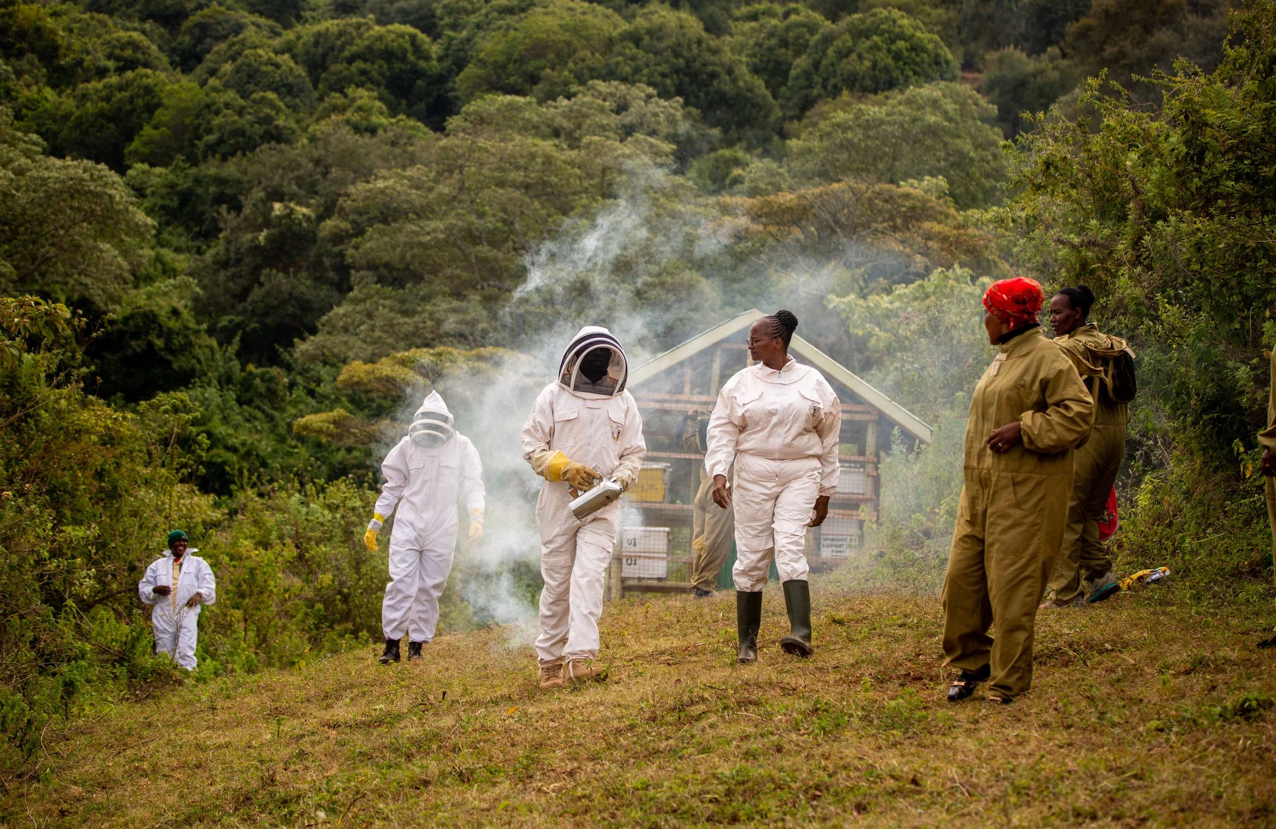 Copy of WS_02_Women and bees protecting elephants and their habitat.jpg