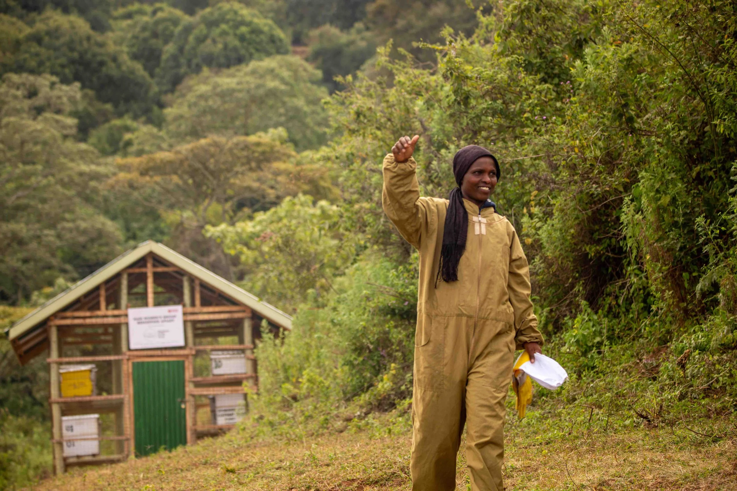 NARI member apiary.jpg