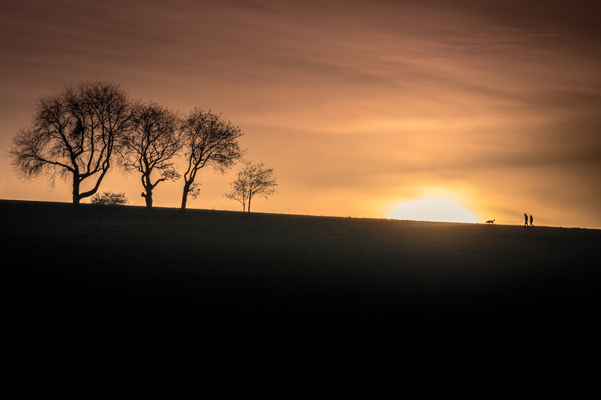 Sunset Stroll.jpg