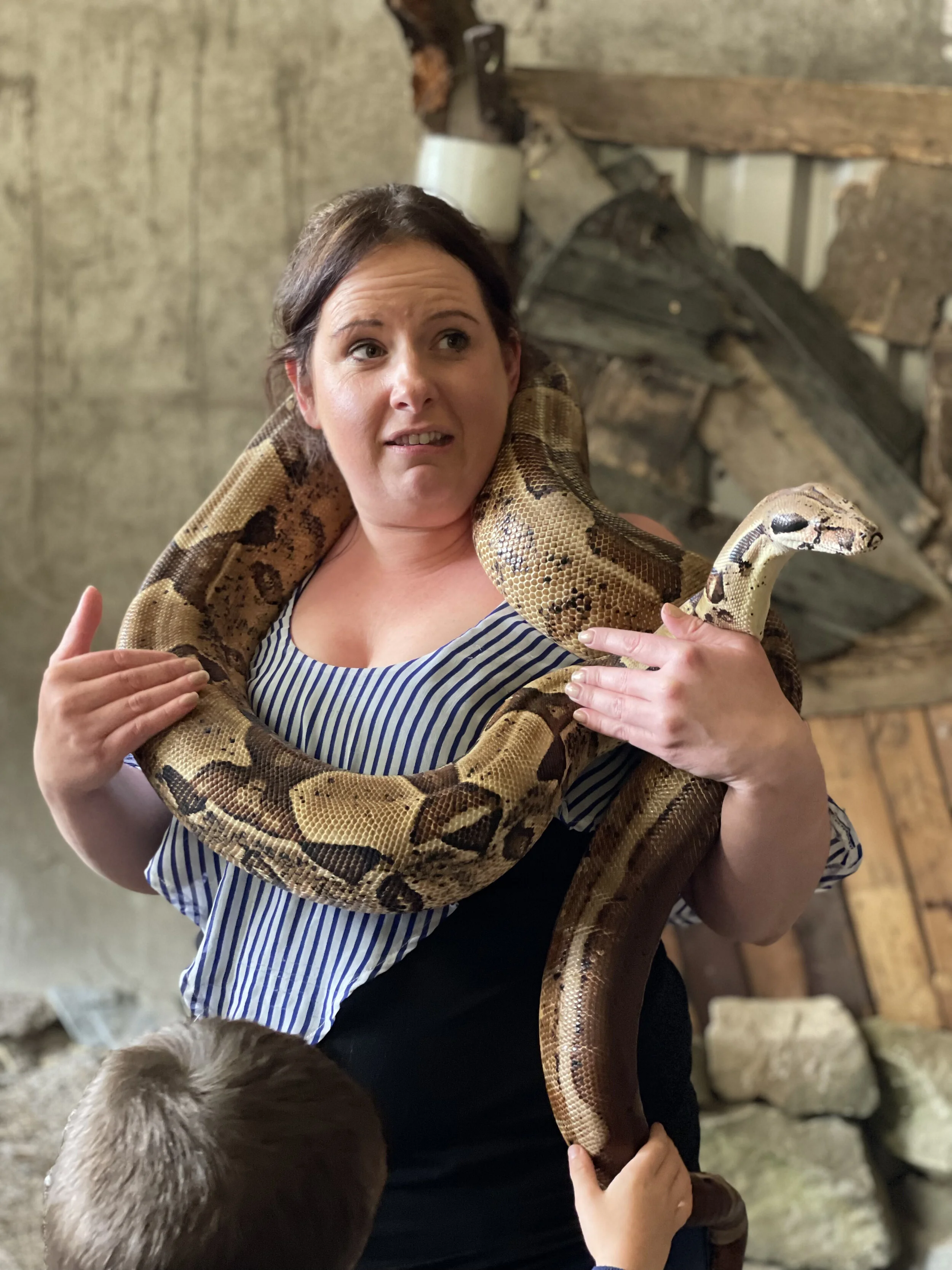 Gallery 1 — Blackberry Hill Farm