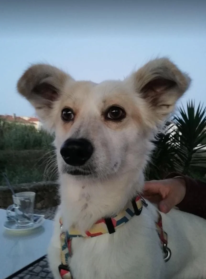 WhatsApp Image 2024-07-09 at 19.36.29 (1).jpeg