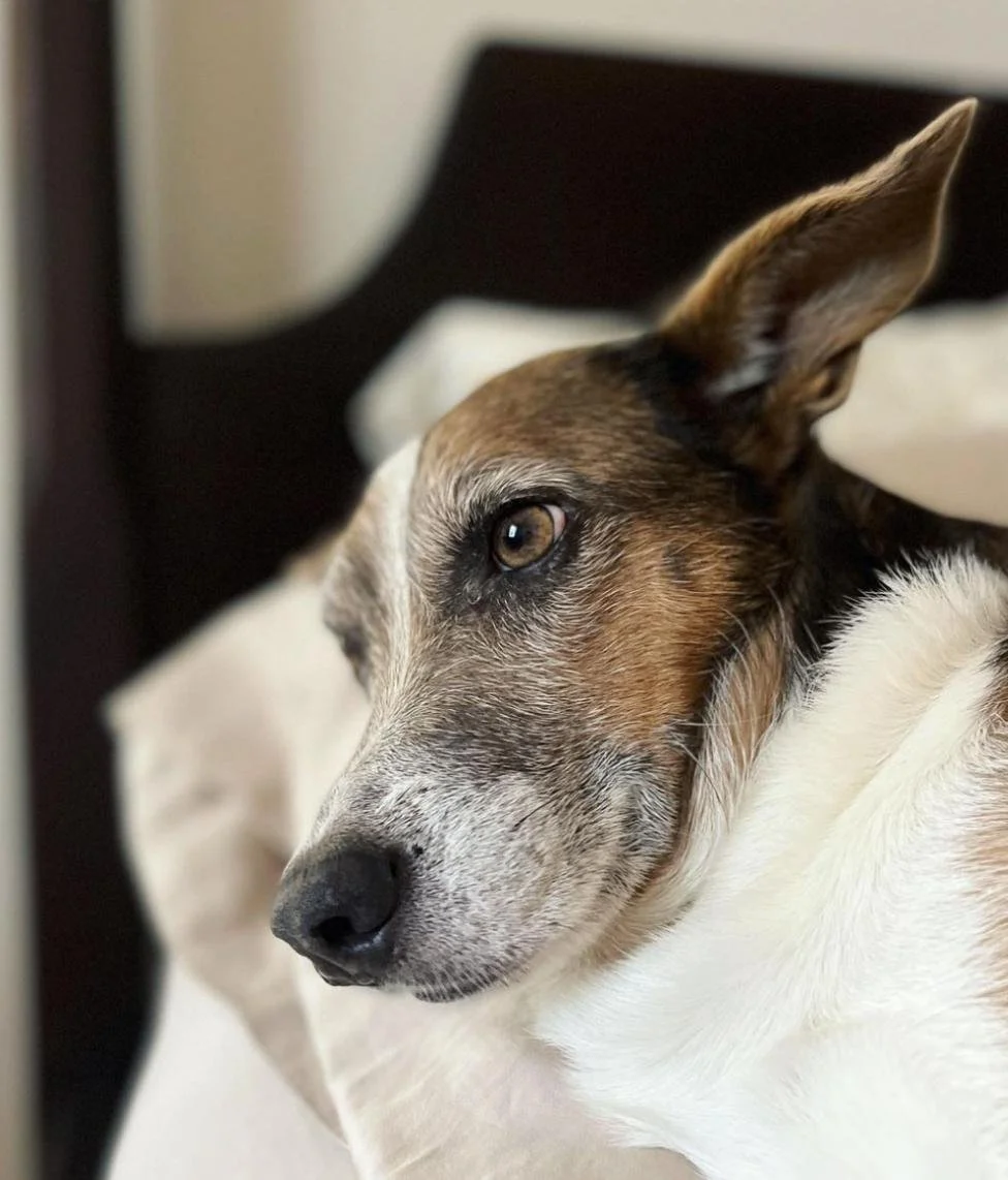 WhatsApp Image 2024-07-09 at 19.36.29.jpeg