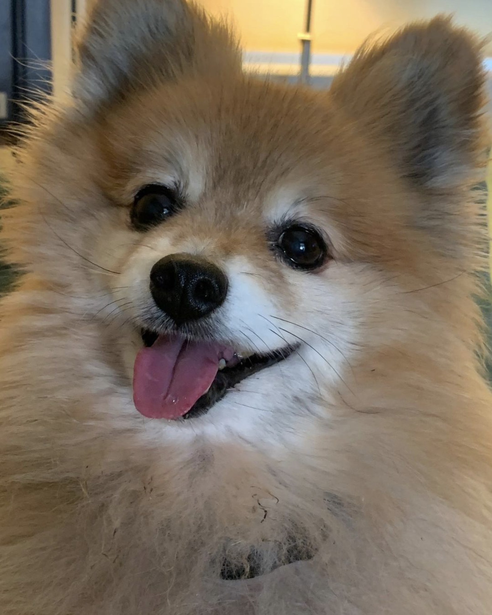 Screenshot 2024-07-09 at 7.47.19 PM.png