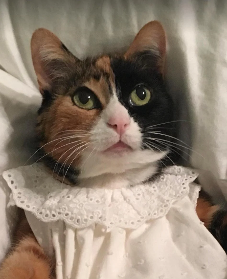 WhatsApp Image 2024-07-09 at 19.36.29 (2).jpeg