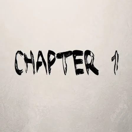 THE WRITER'S 12 STEP-WRITE YOUR NOVEL IN A YEAR-TRIMESTER 1