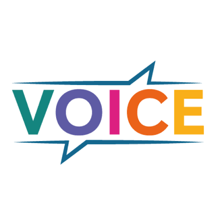 voice image.png