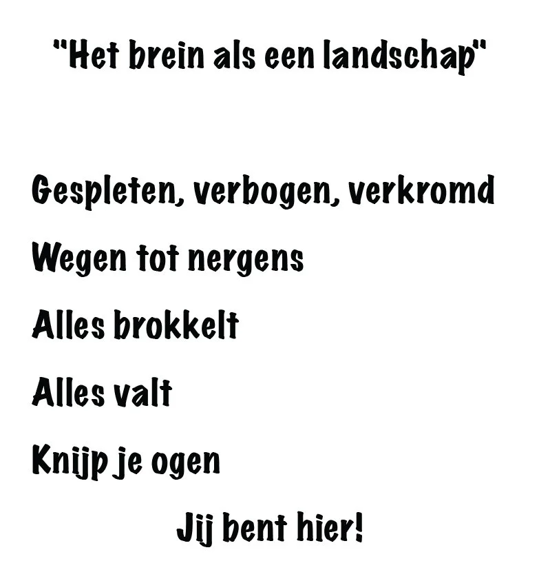 het brein als een landschap.jpg