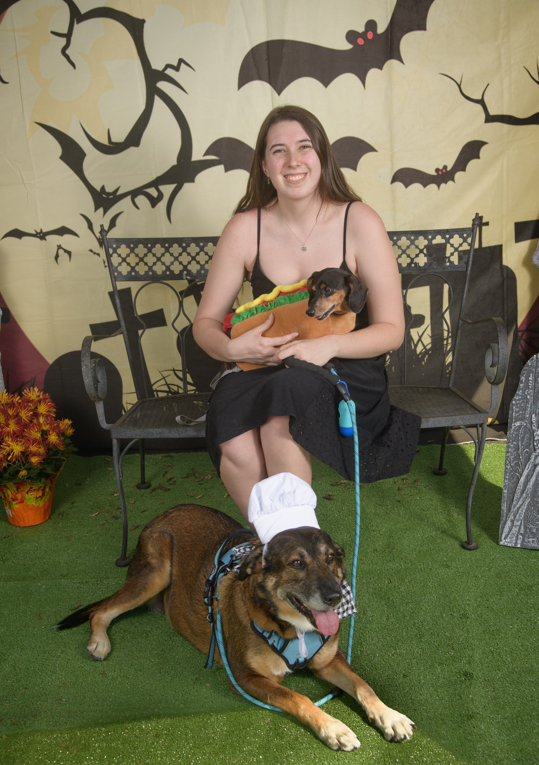 All Howls Eve 5-21.jpg