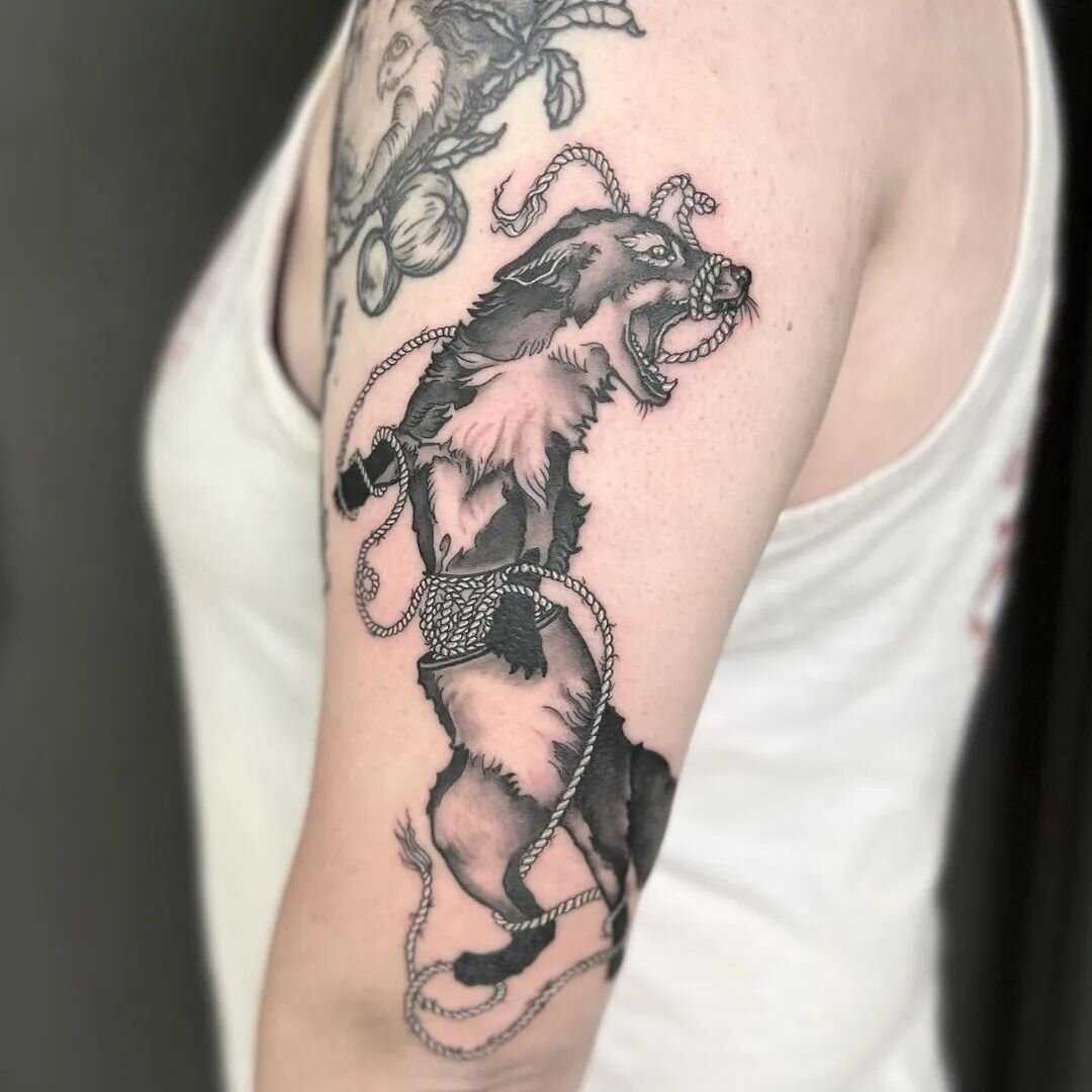 Check out this foxy flash design by @carolinemaetattoos 
.
.
#chicolousfinetattoos #gatattoos #gatattooer #atlantatattooer #athenstattooshops #ladytattooers #fox #foxtattoo #art #artist #tattoos #tattooartists #ladytattooer #women #womanartist #woman