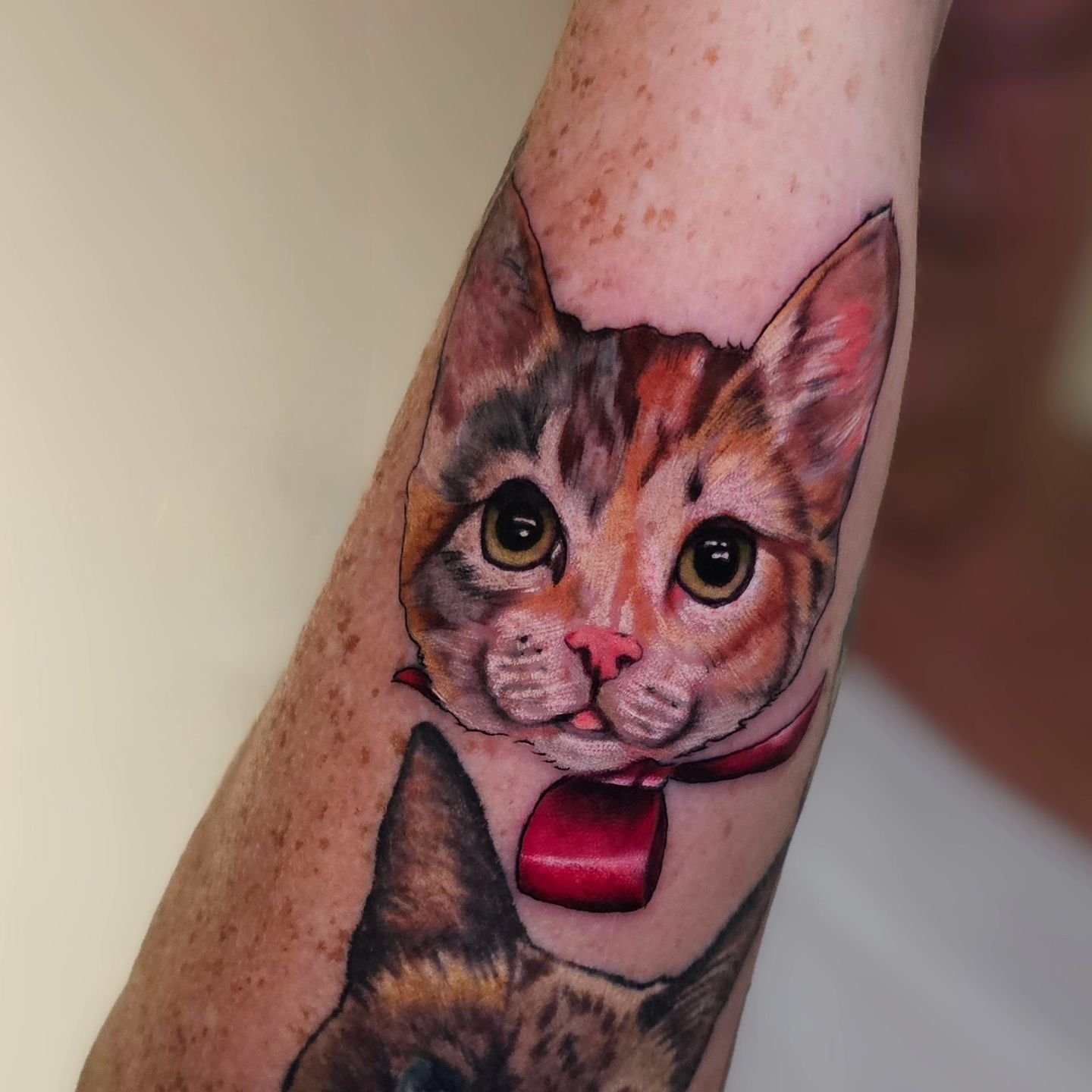 Sweet baby Biscuit's puuurfect little face. ❤️🐱
.
To book with Sara, email the shop at chicolousfinetattoos@gmail.com 
.
.
#chicolousfinetattoos #gatattoos #gatattooer #atlantatattooer #athenstattooshops #ladytattooers #pettattoo #portraittattoo #pe