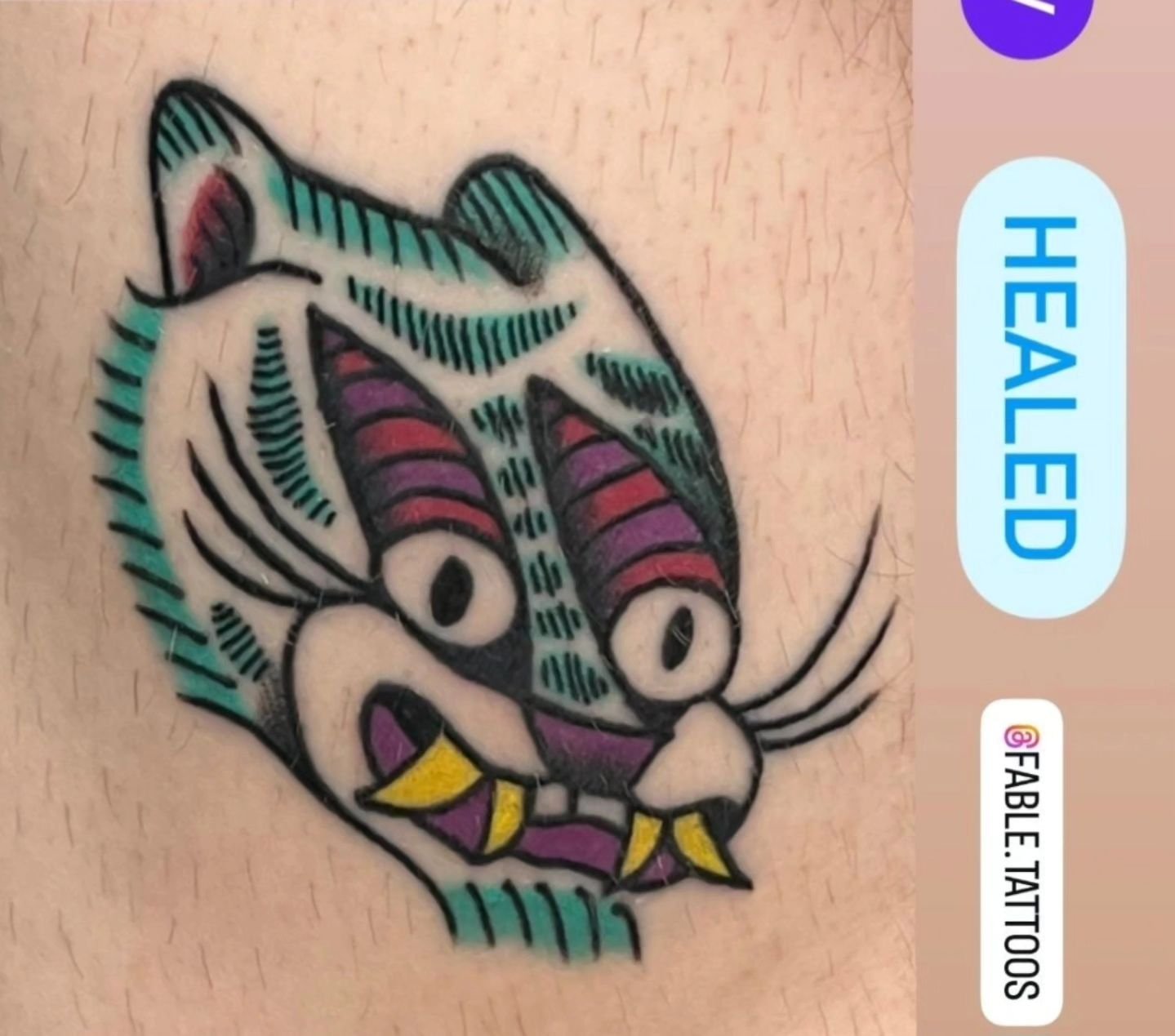 We love to see our tattoos all healed up. Here's one of Molly's cool cats from her flash. The colors look fantastic. Swipe to see it when it was fresh. 
.
.
#fabletattoos #gatattooer #atlantatattooer #athenstattooshops #uga #tattoos #colortattoo #tra