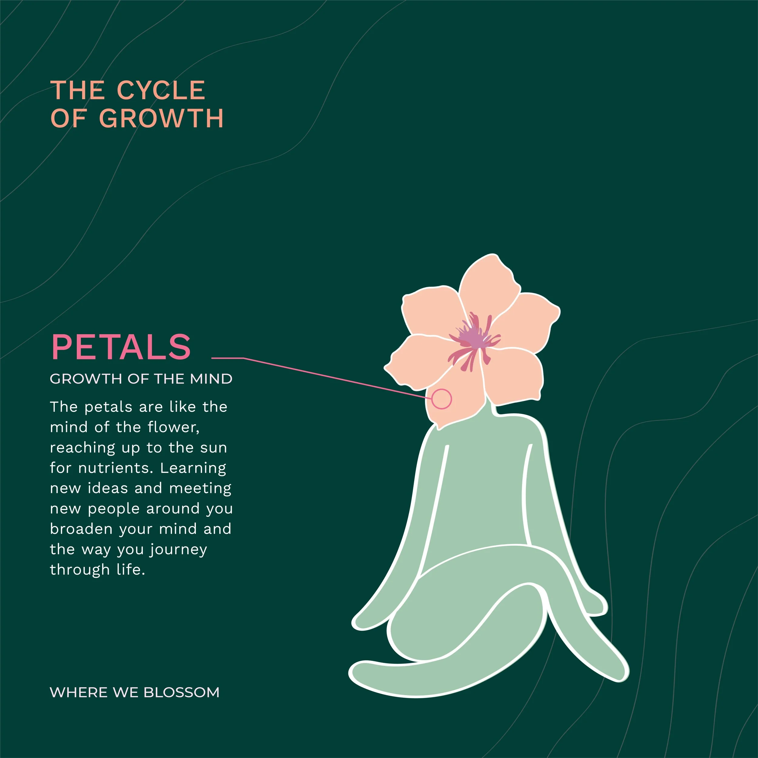 Instagram Feed Post - Petals