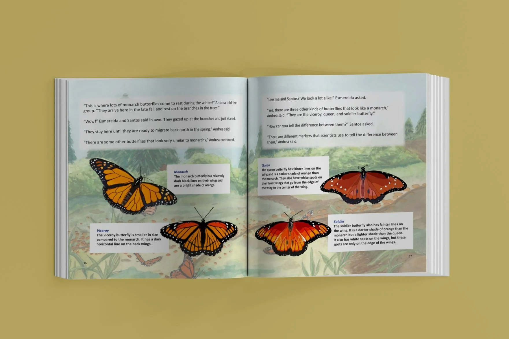 monarch-open-book-spread.jpg