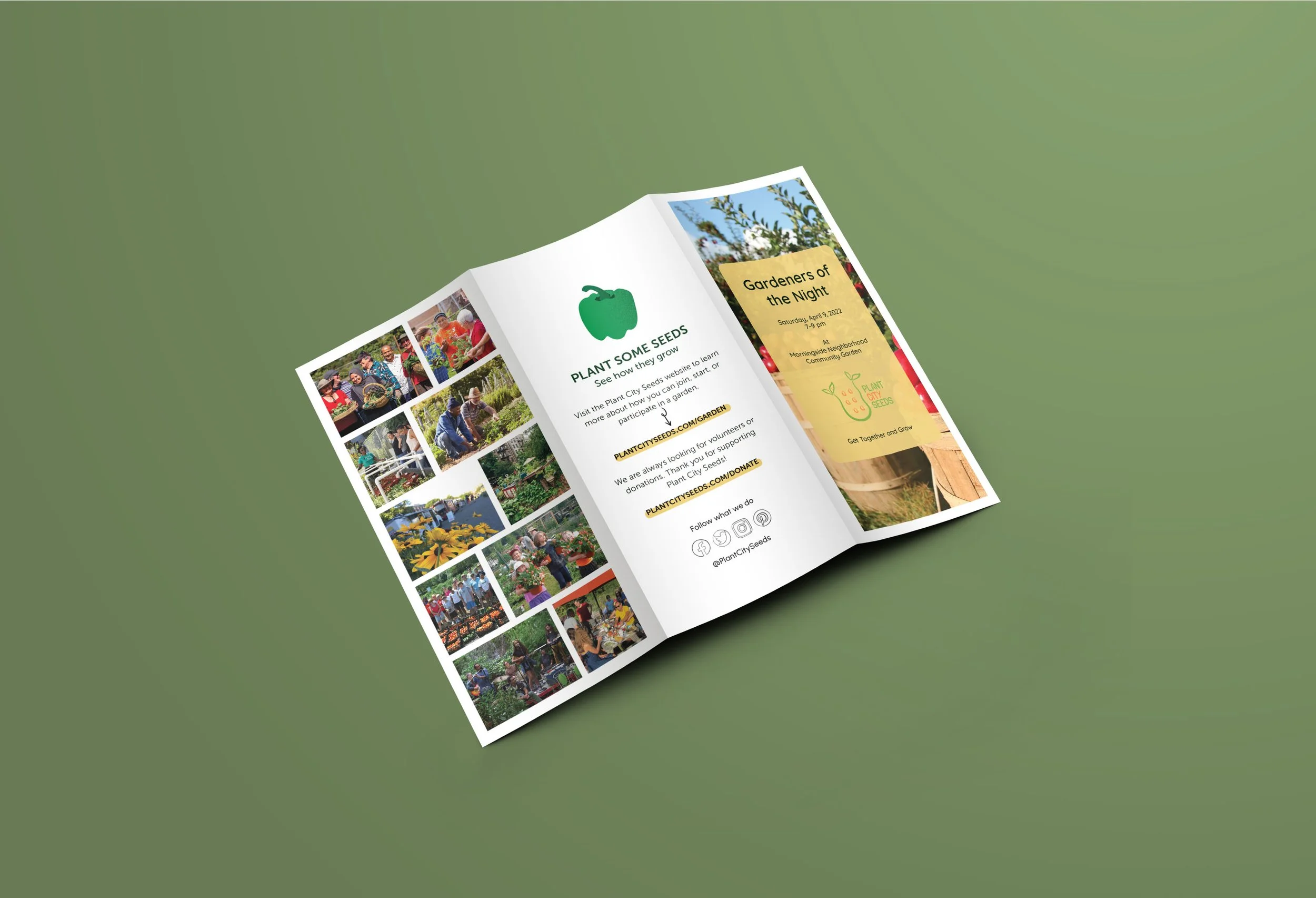 Trifold Brochure Backside