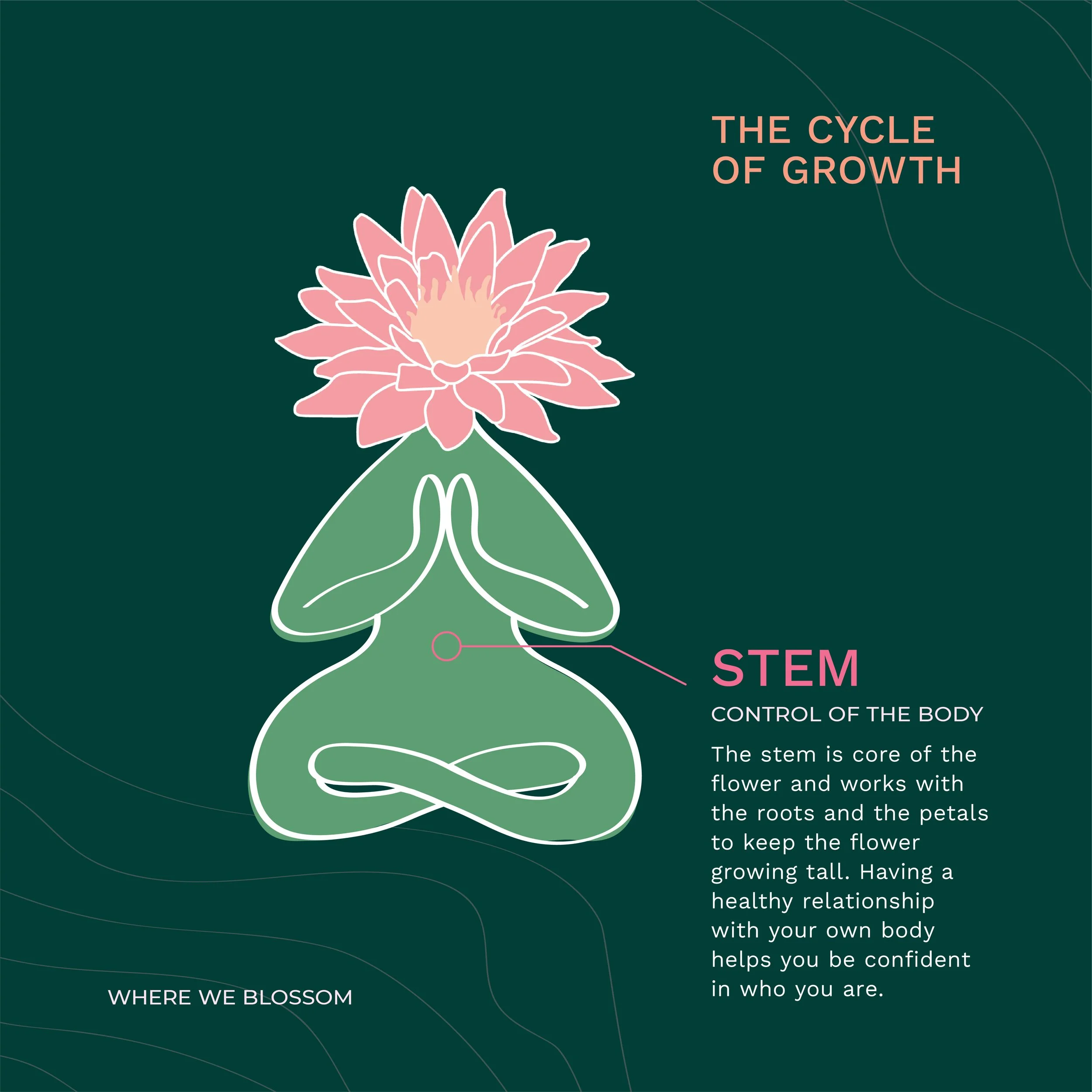 Instagram Feed Post - Stem