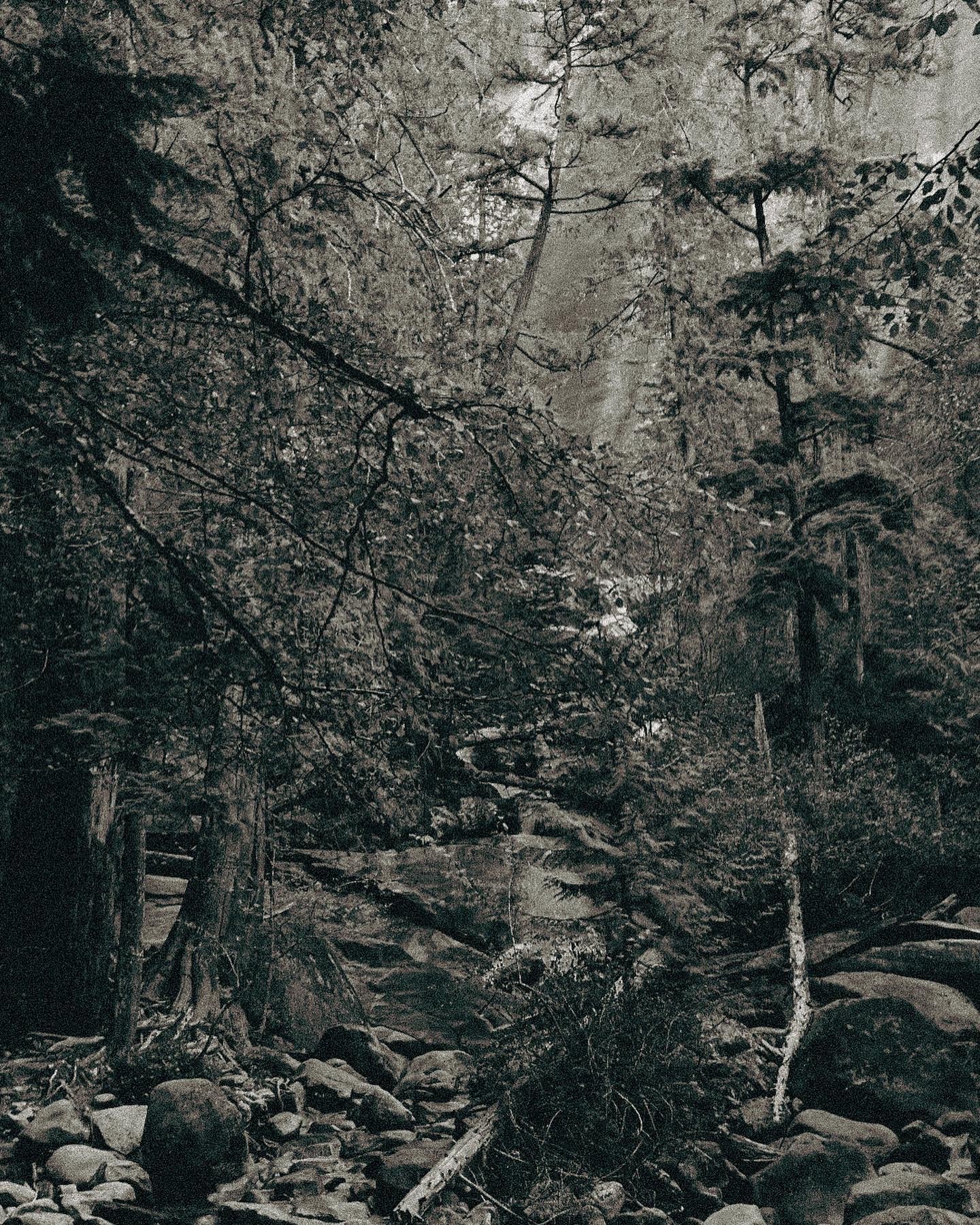 Wilderness Serenity