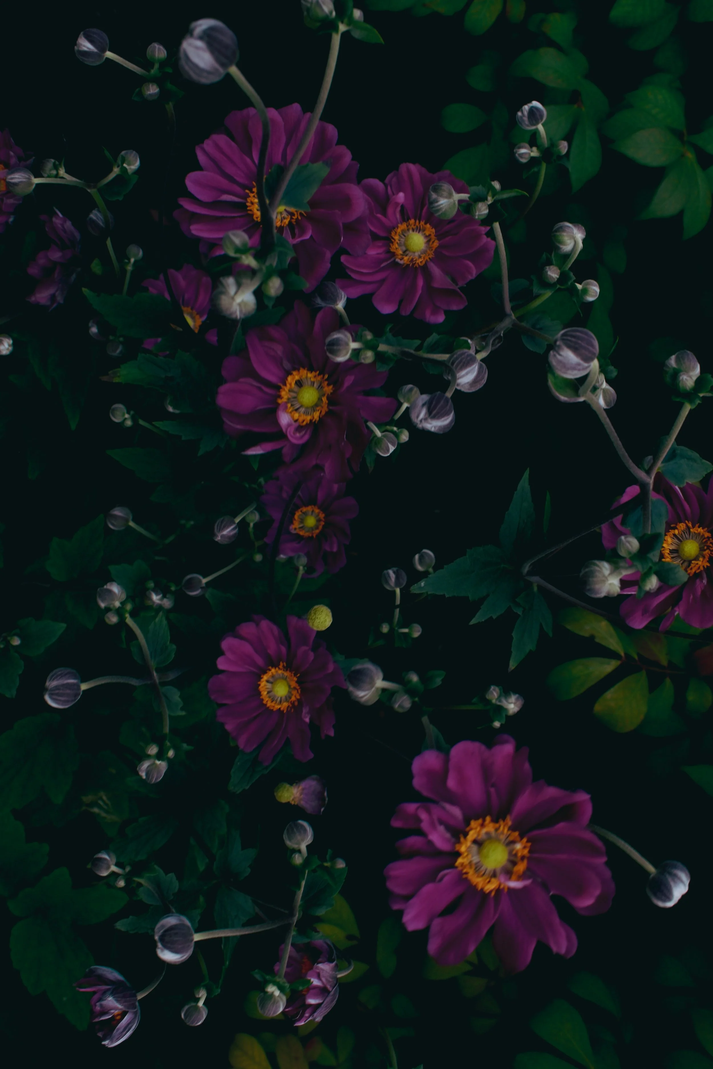 Eternal Bloom Bouquet