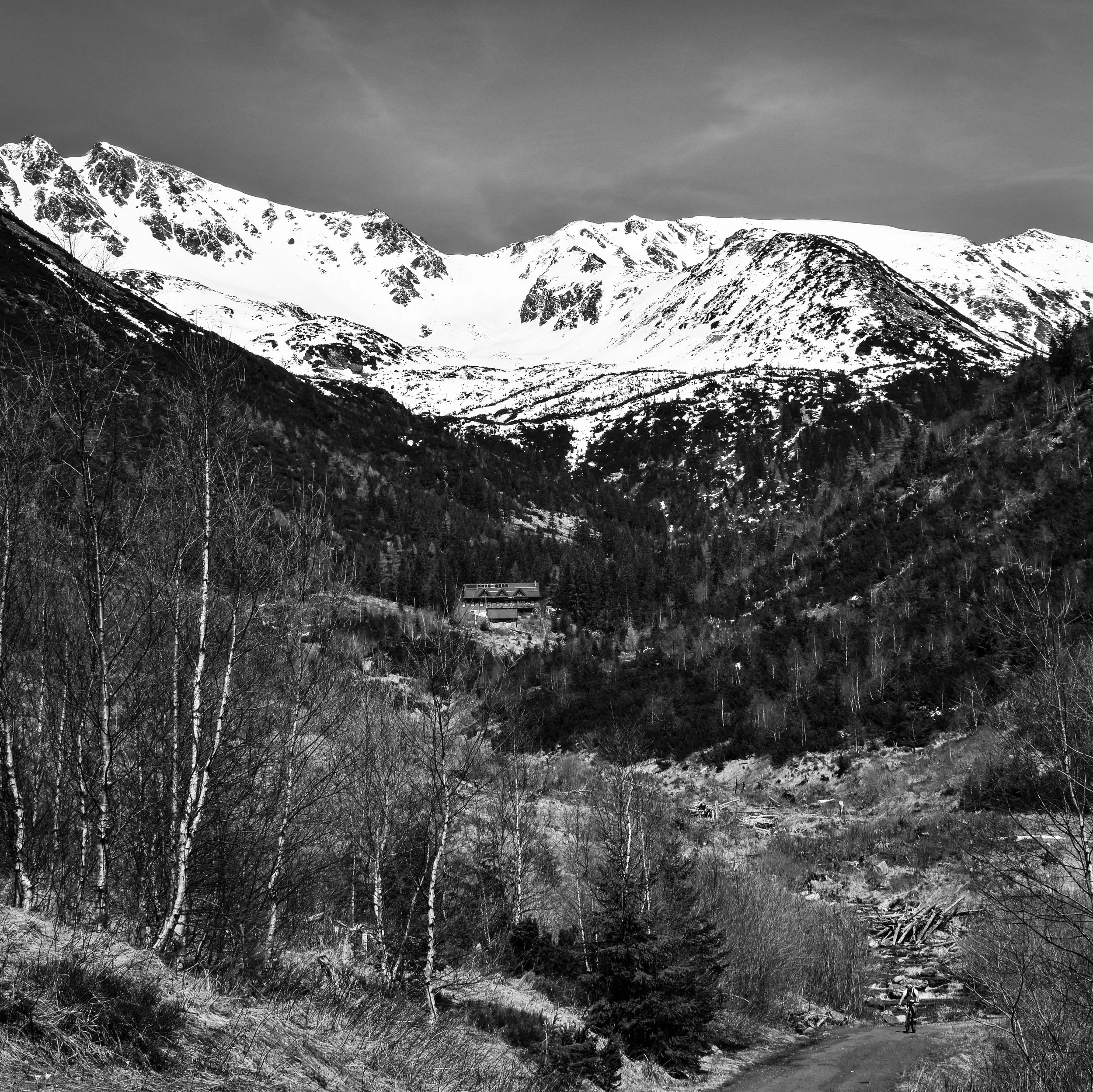 The Whisper of Nature