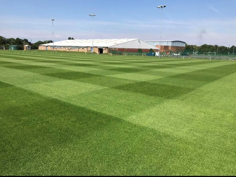 WhatsApp Image 2024-11-07 at 14.06.22.jpeg