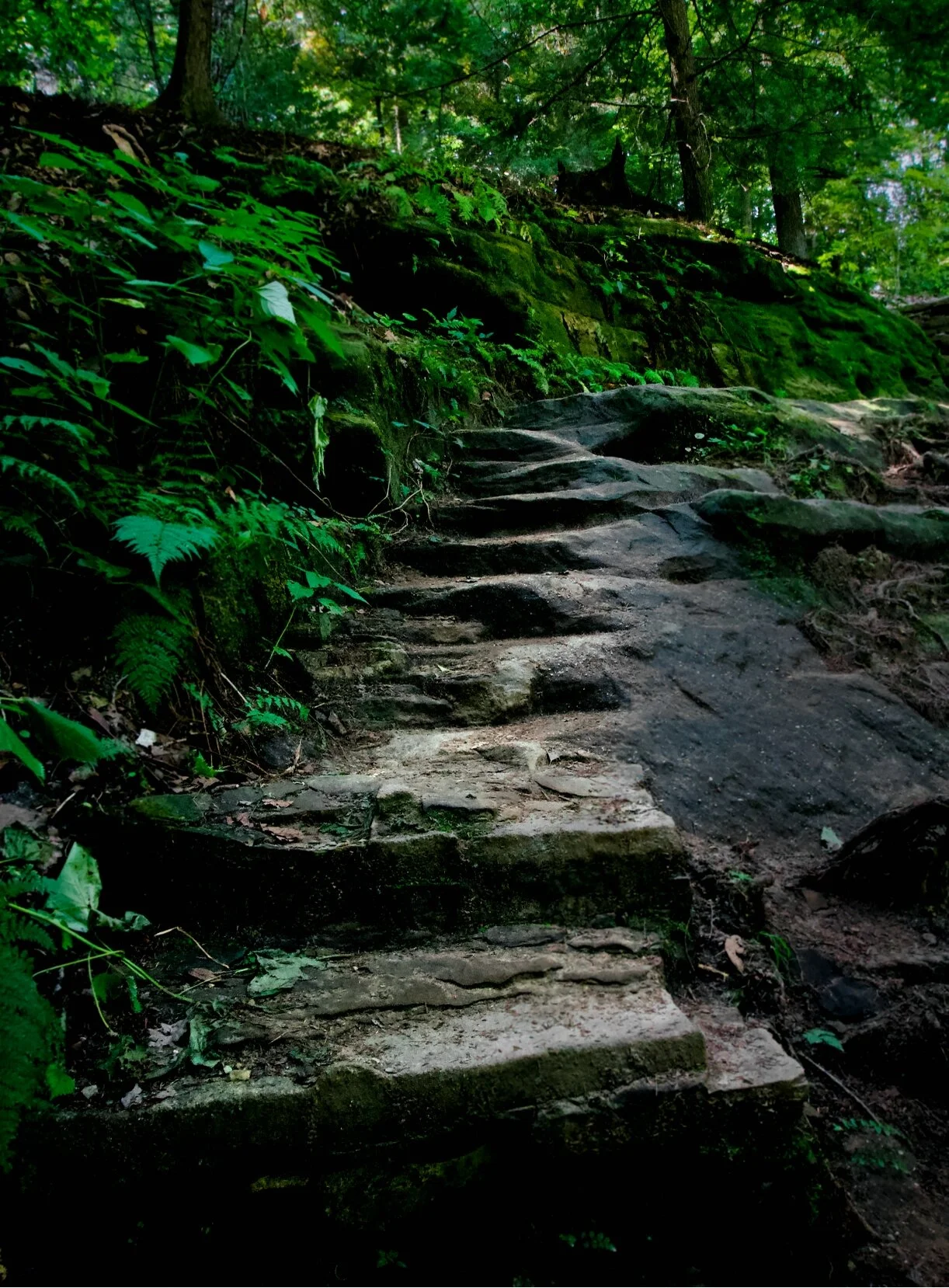 Hocking hills hiking trail