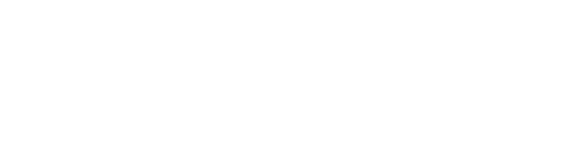 Logotipo en blanco y negro con letras grandes que dicen 'tritz-kola' y un símbolo de marca registrada en la esquina superior derecha.