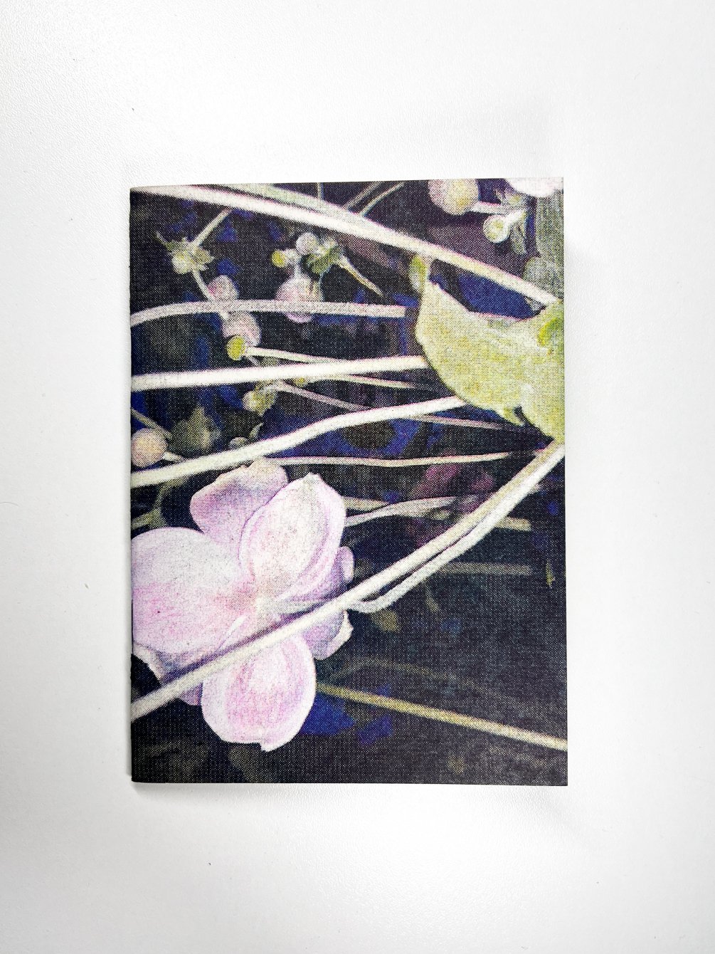 A little tender zine issue two - Tenderness