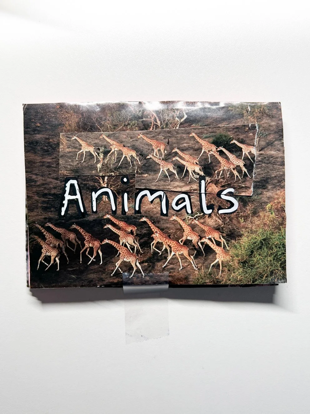 SUZYSKA - Animals