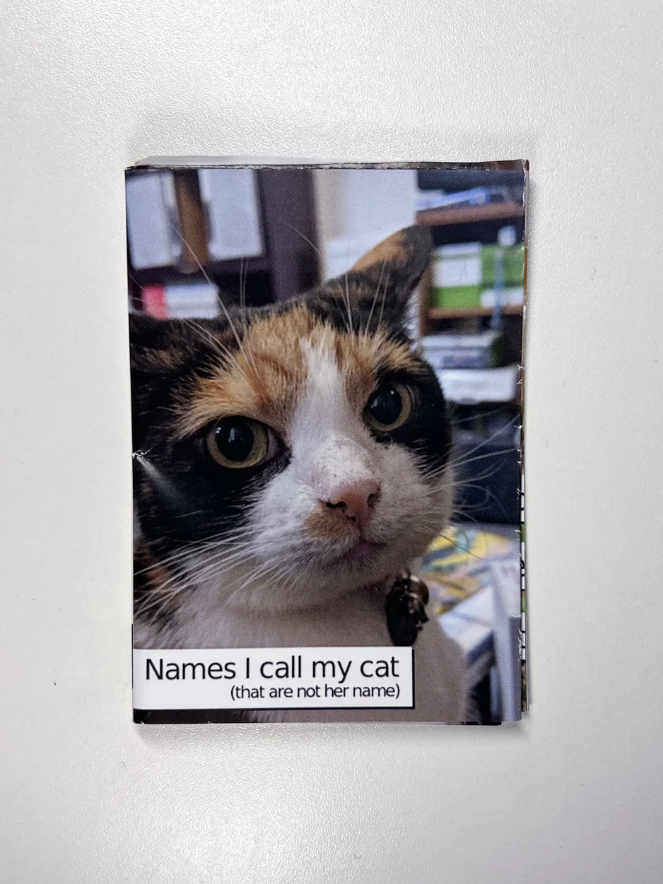 Names I call my cat (that are not her name) - 	Pippy makes zines