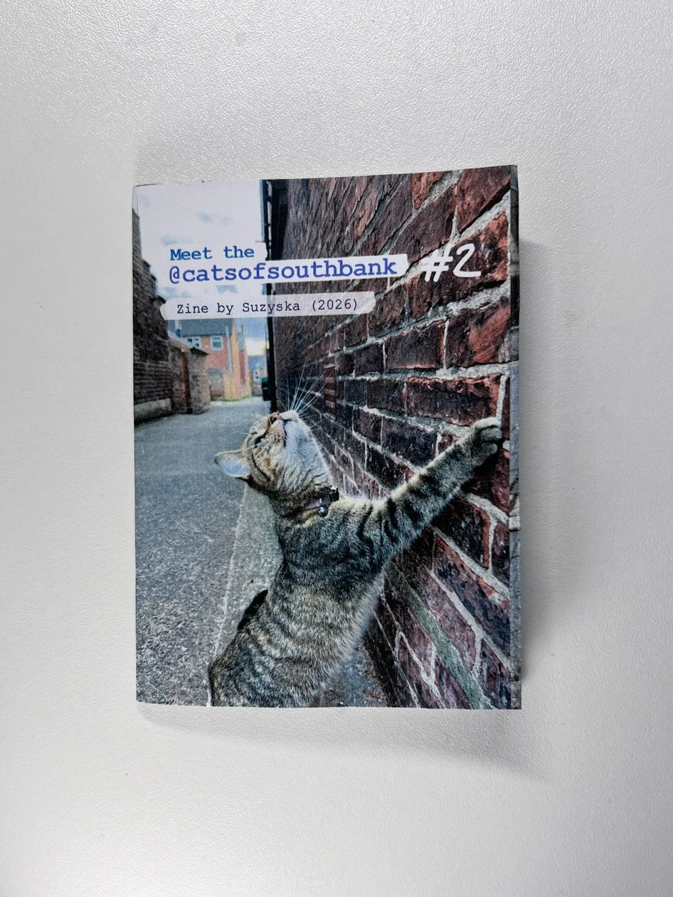 SUZYSKA - Meet the cats of South Bank #2