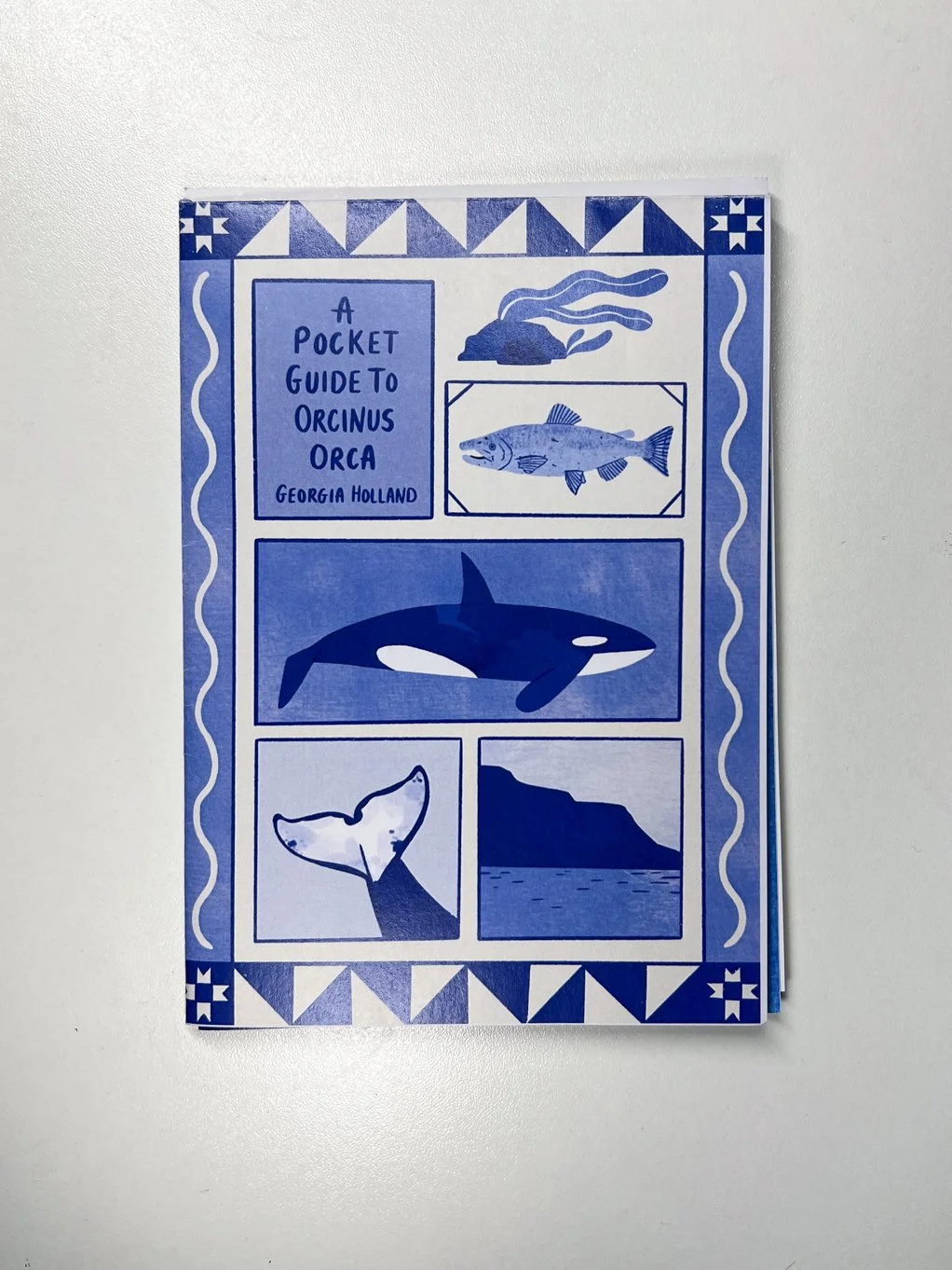 A pocket guide to orcinus orca - Georgia Holland