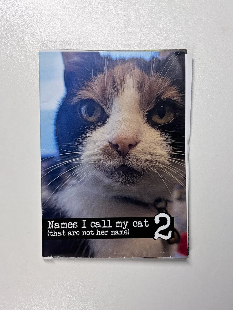 Names I call my cat (that are not her name)	2 - Pippy makes zines