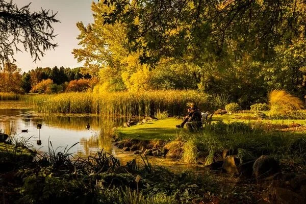 7 Small Daily Habits That Quietly Boost Your Mental Wellbeing
