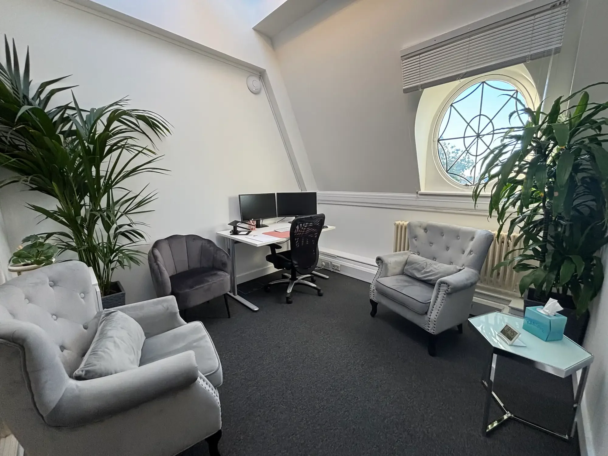 Private psychology clinic in Wimbledon
