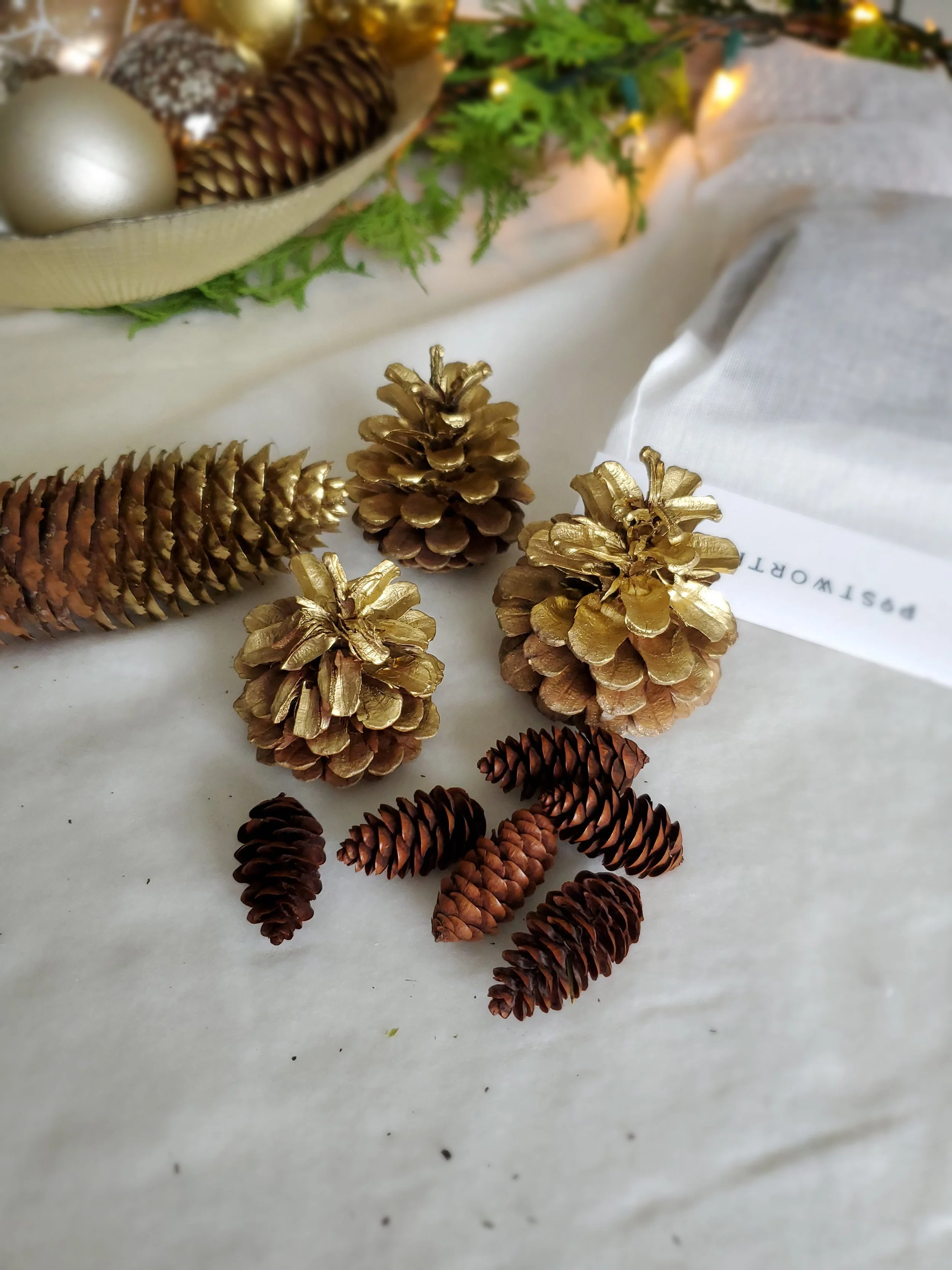 postworthy_christmas_pinecones_assortedloose.jpg