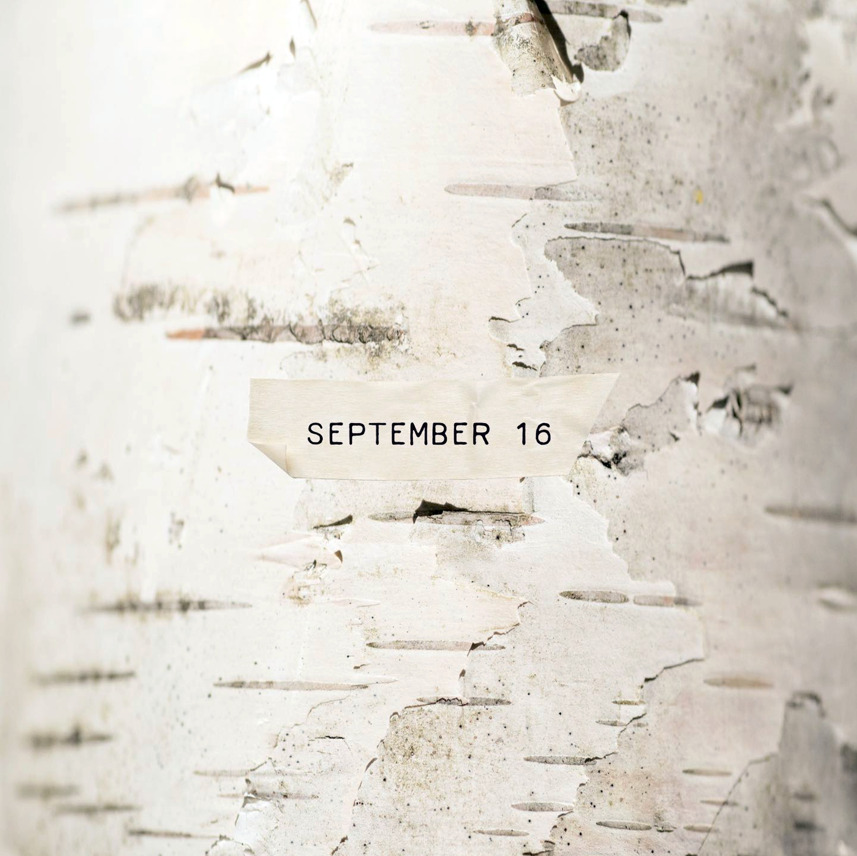 @postworthy.ca stories