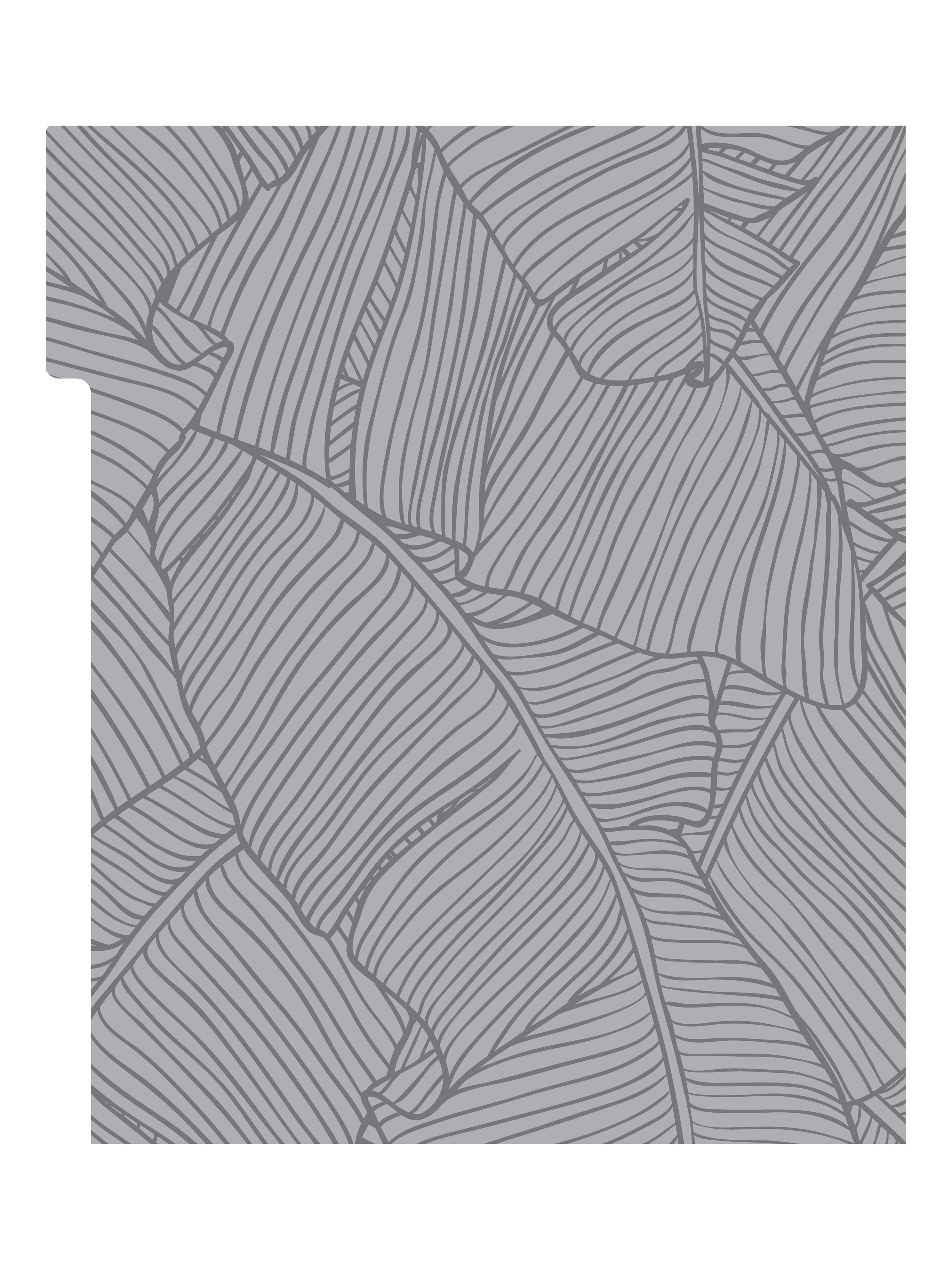 KAIAULU_Tabs2.jpg