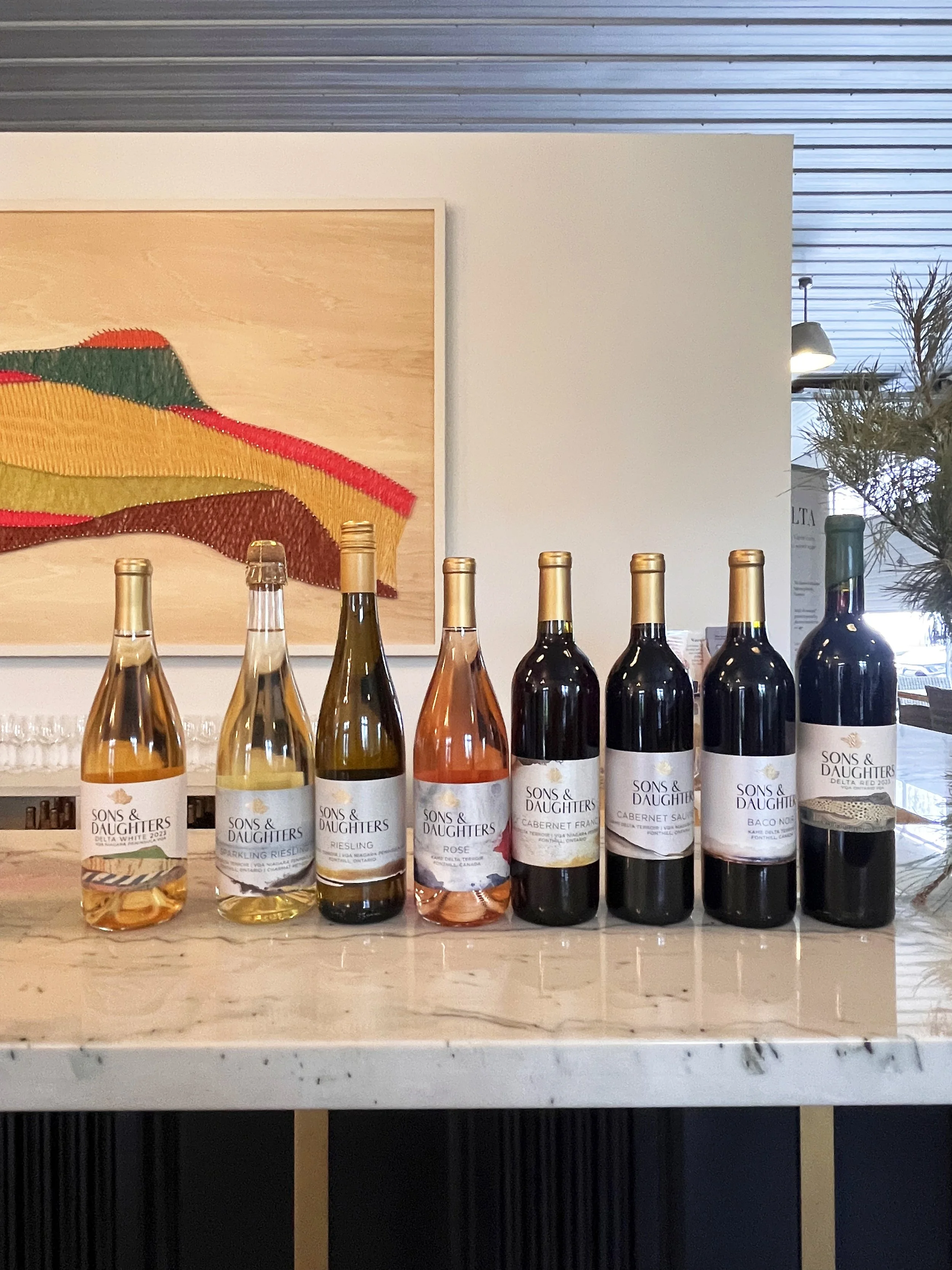 2025-S&Dbottles-counter.jpg