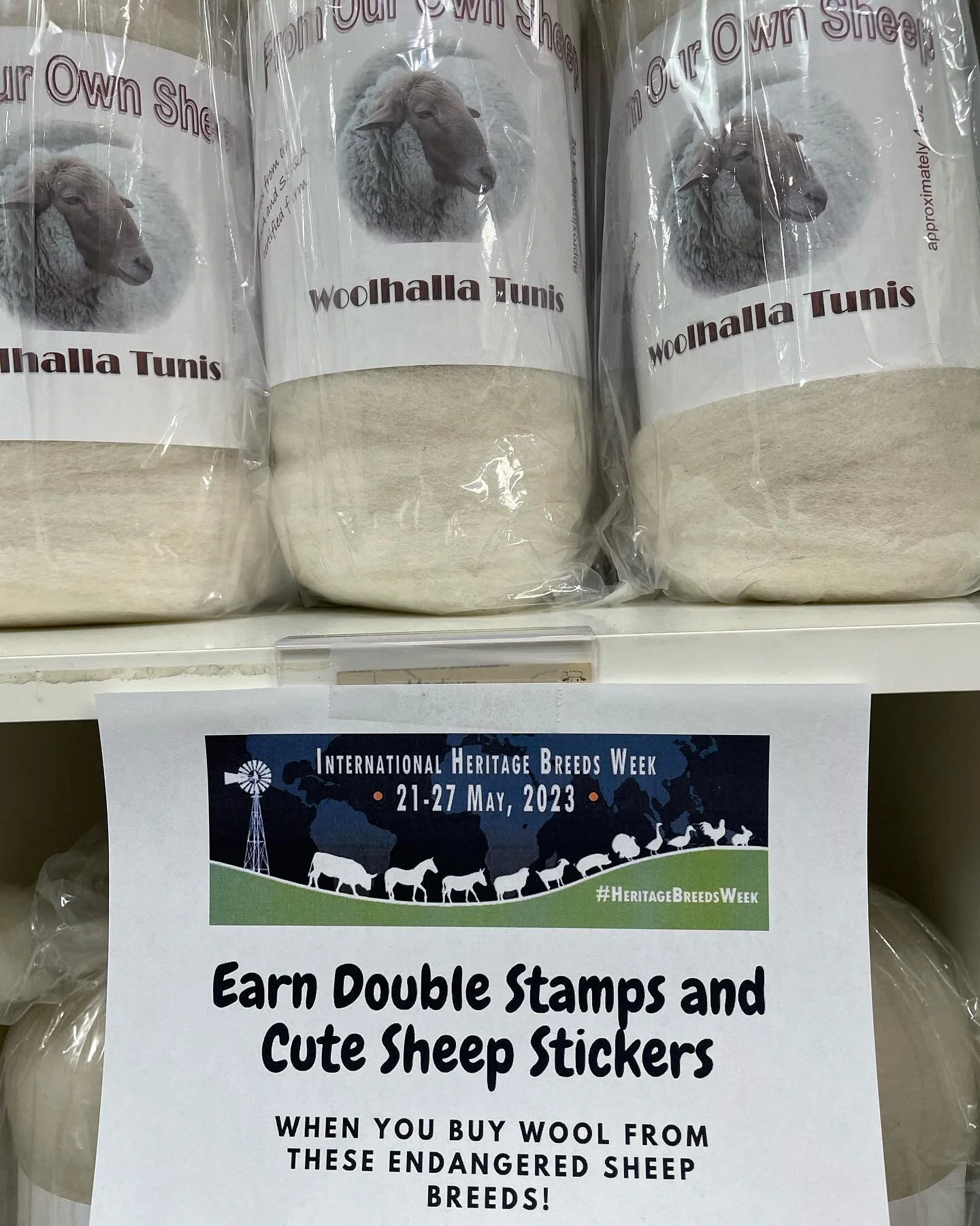 Cabo San Lucas Cruise — Tempe Yarn & Fiber