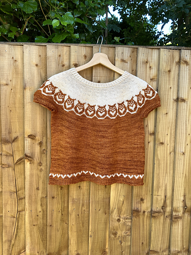 owlness sweater.png