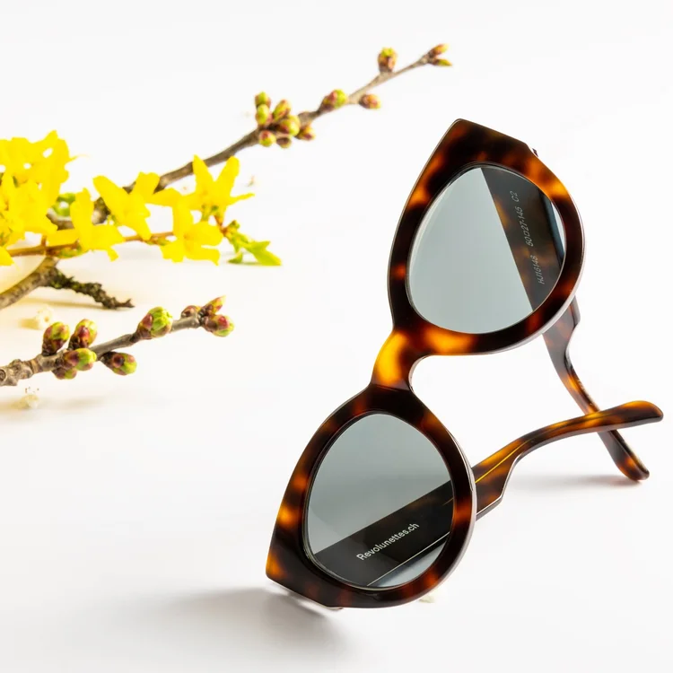Lunettes de soleil en écaille entourées de fleurs