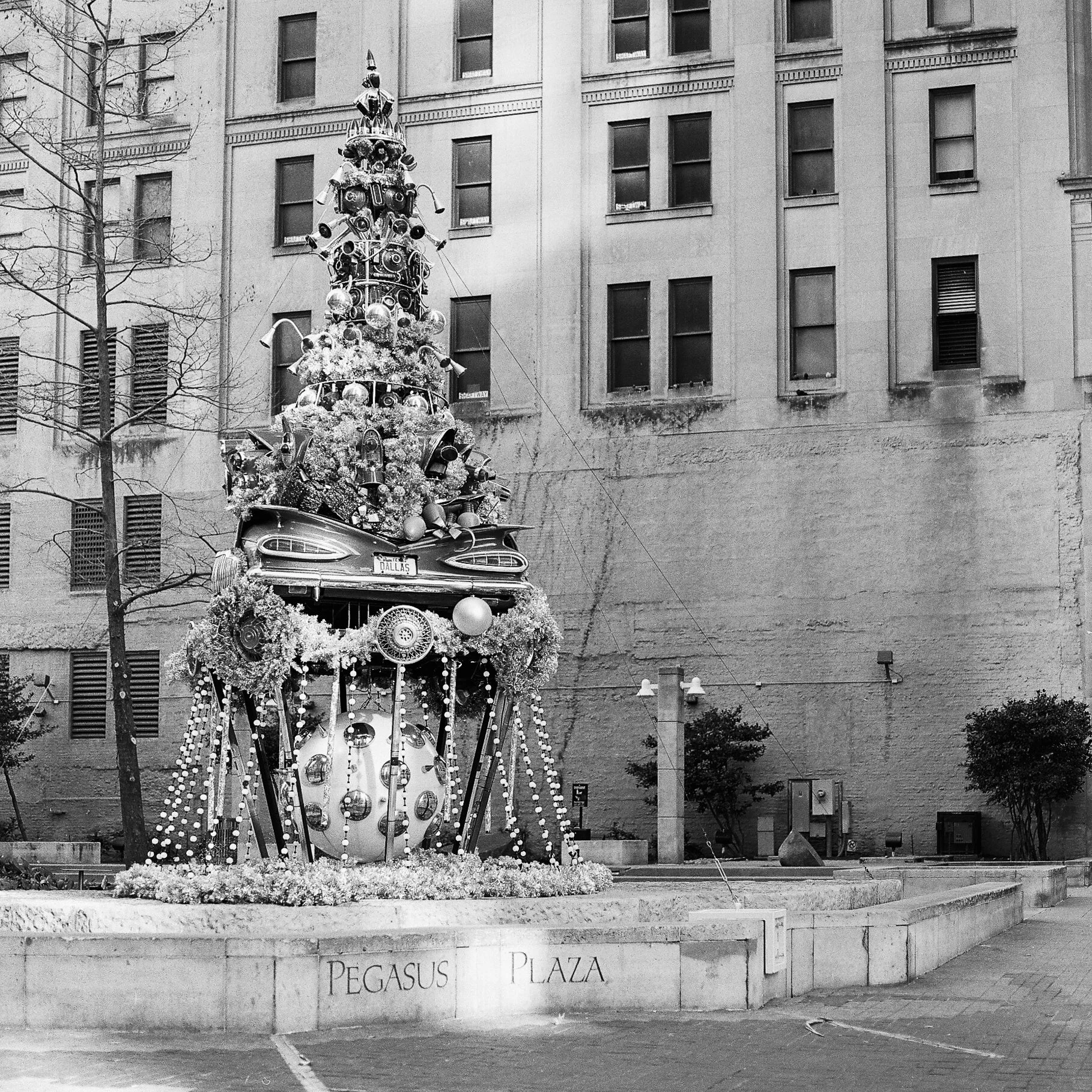 A Special Christmas - Dallas, Texas - Hasselblad 500 C/M