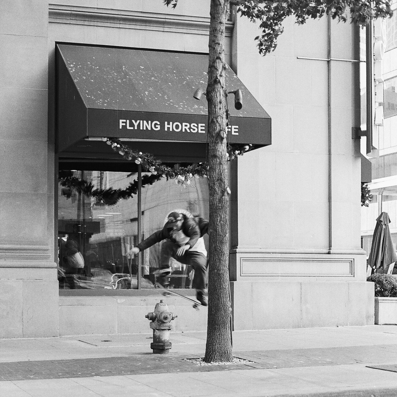 Taking Flight - Dallas, Texas - Hasselblad 500 C/M