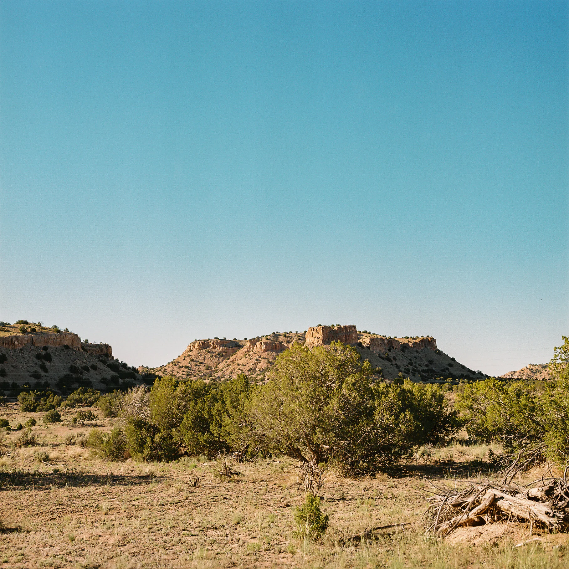 Plateau In The Pinon - New Mexico - Hasselblad 500 C/M