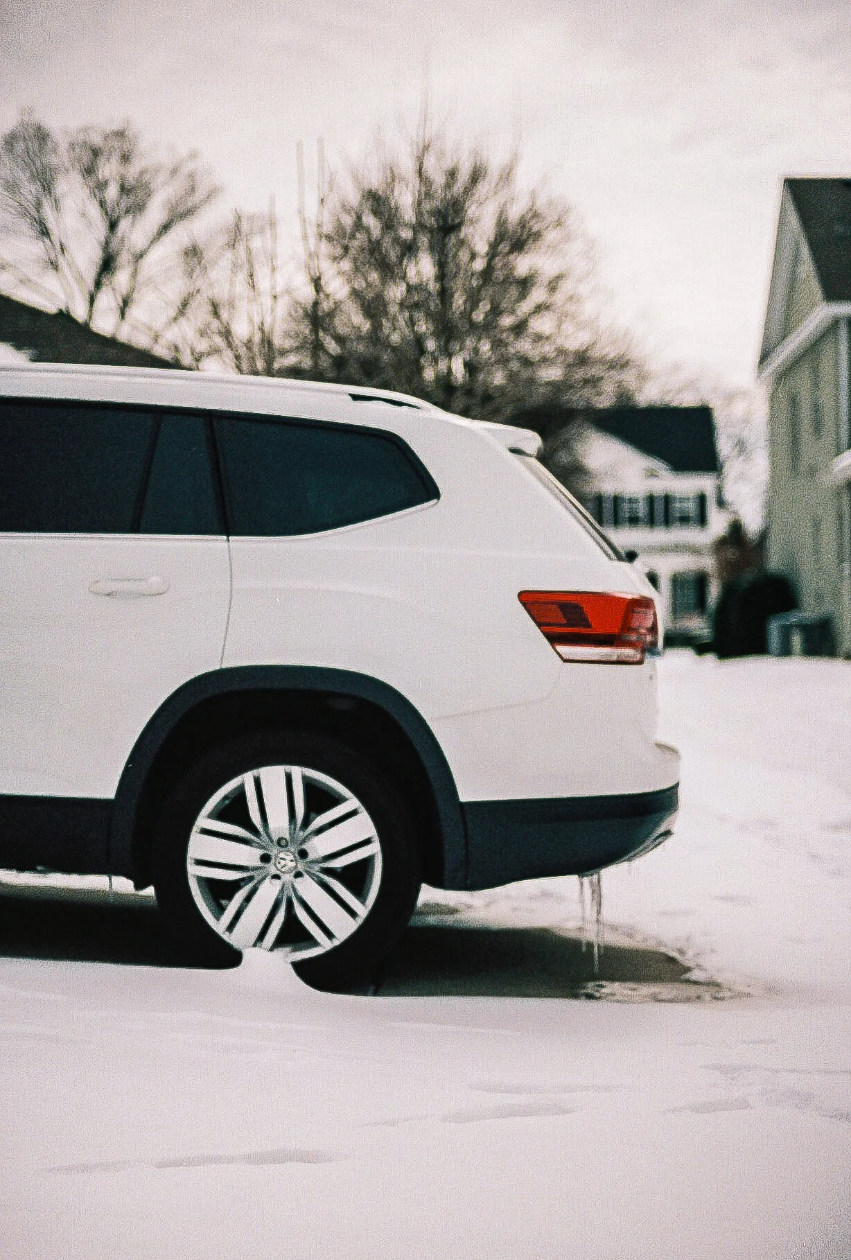 Made For Winter - McKinney, Texas - Nikon FE2
