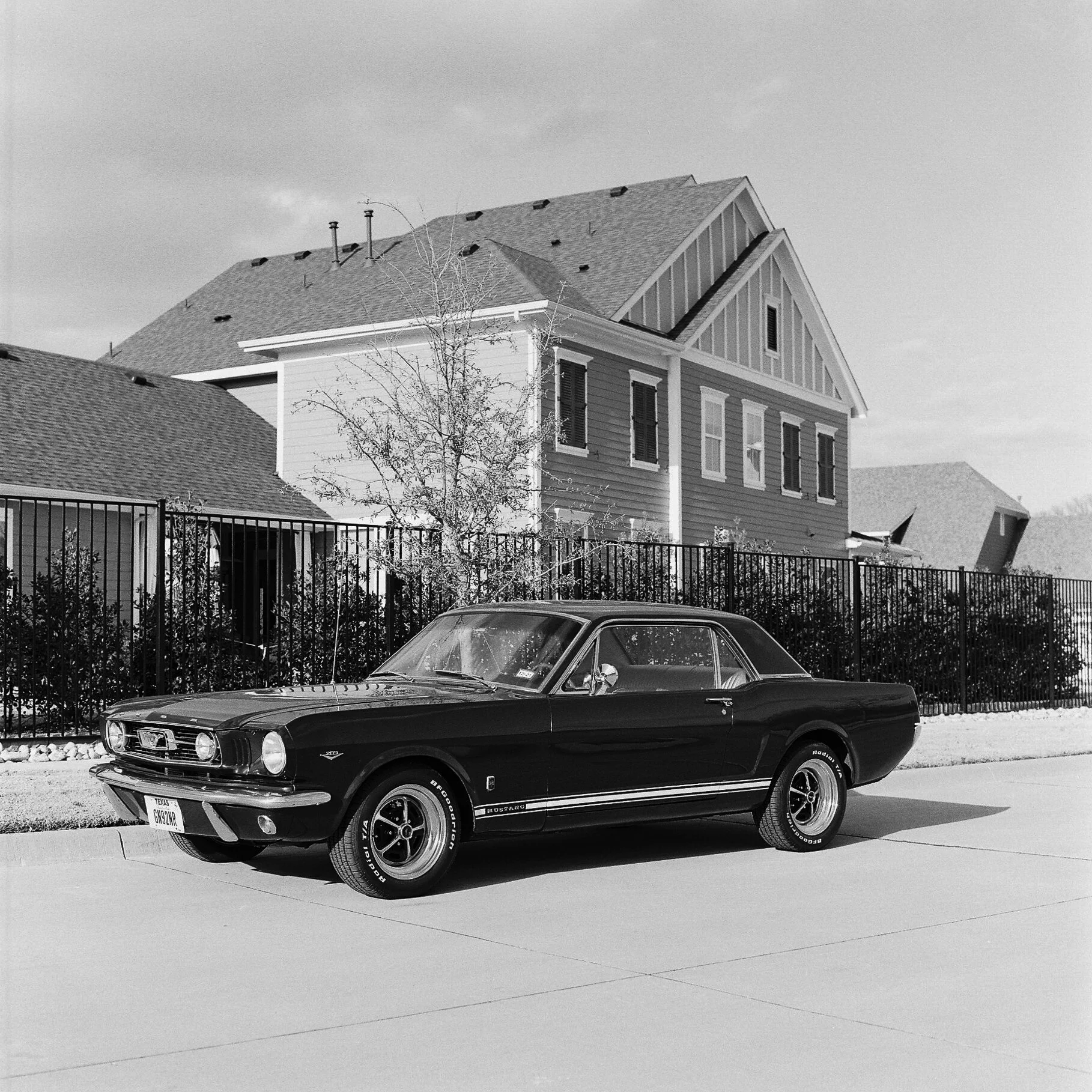 Mustangs Are Tough - McKinney, Texas - Hasselblad 500 C/M
