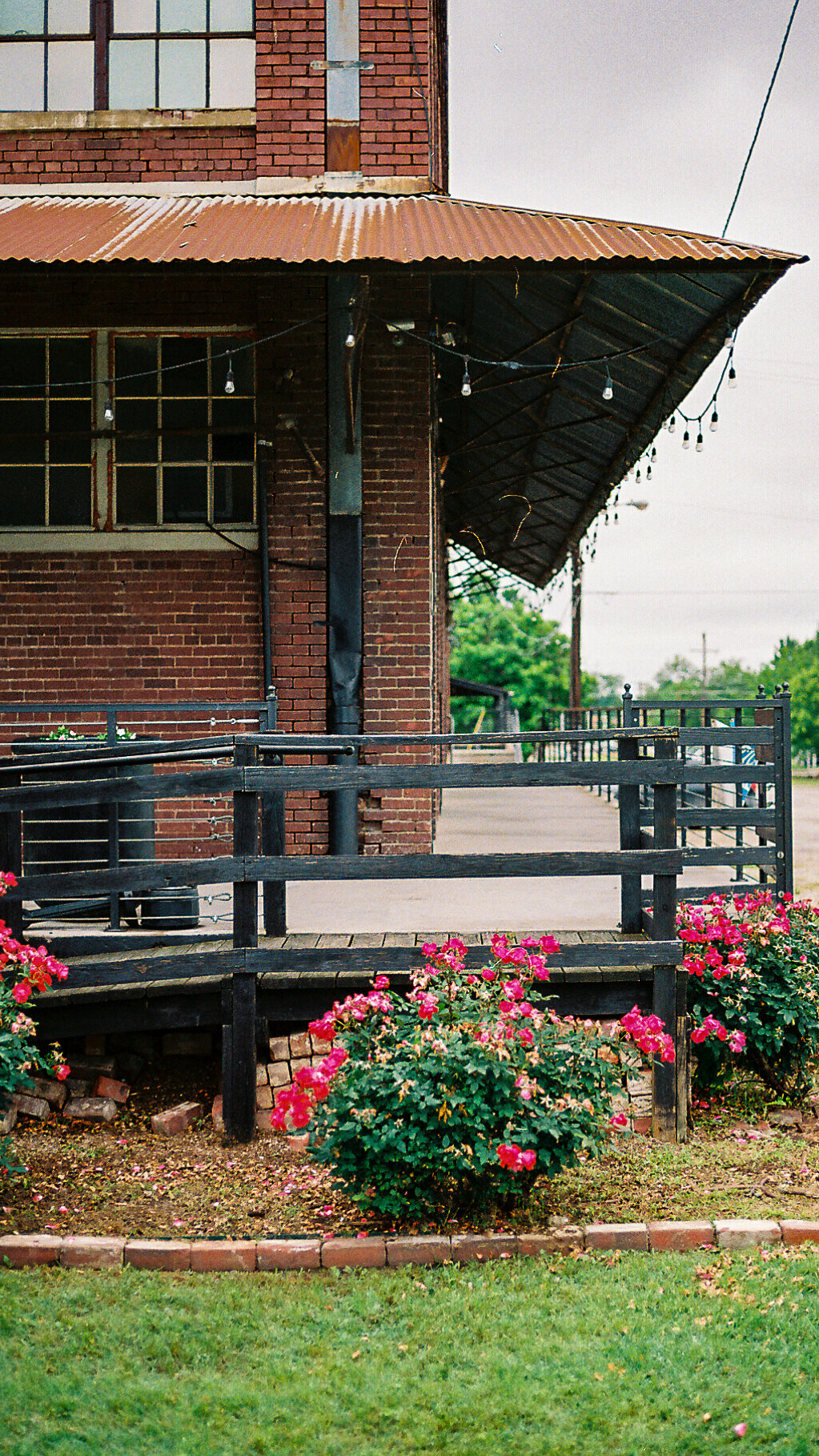 Bloomin' In Texas - McKinney, Texas - Contax G1