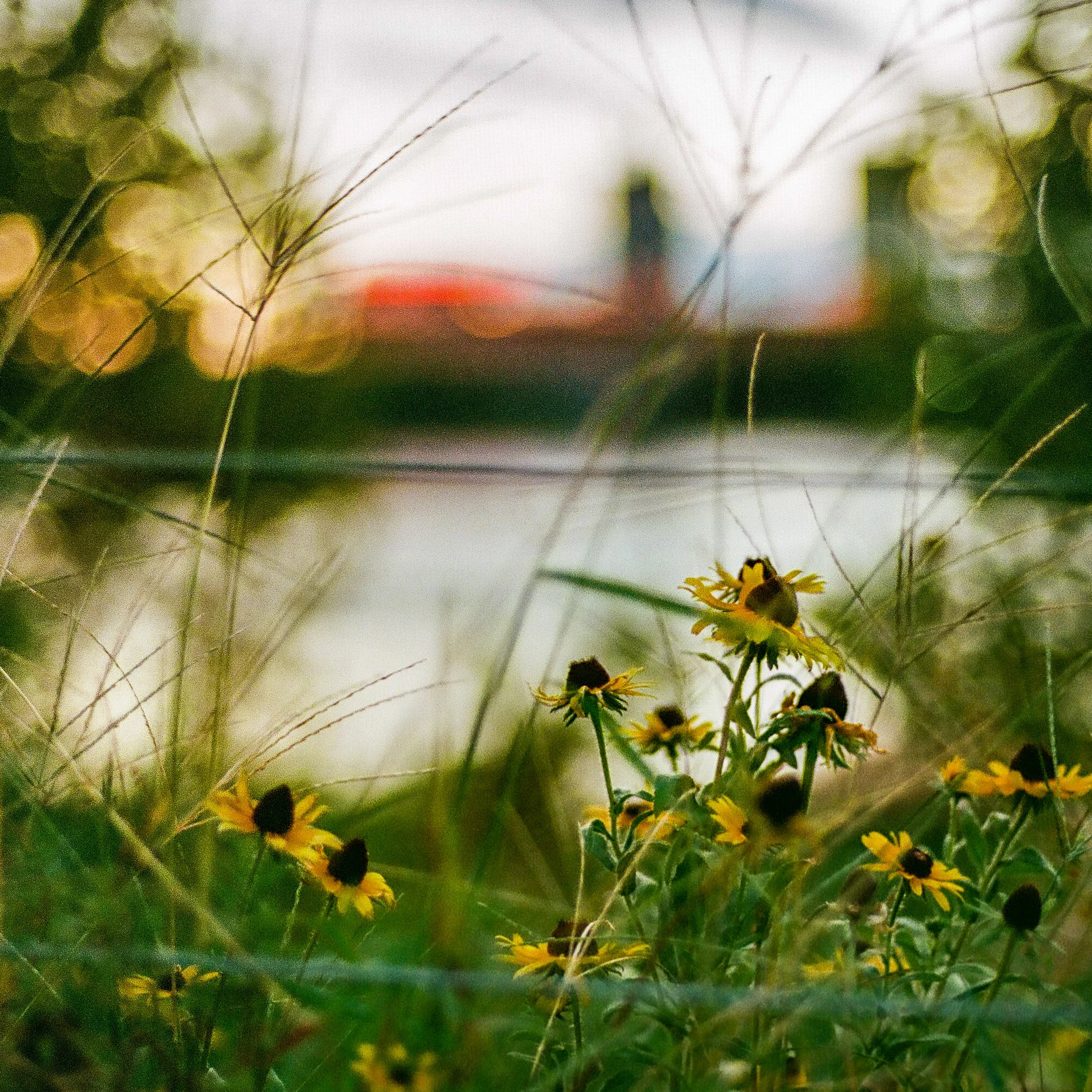 Riverside - Tulsa, Oklahoma - Nikon F3