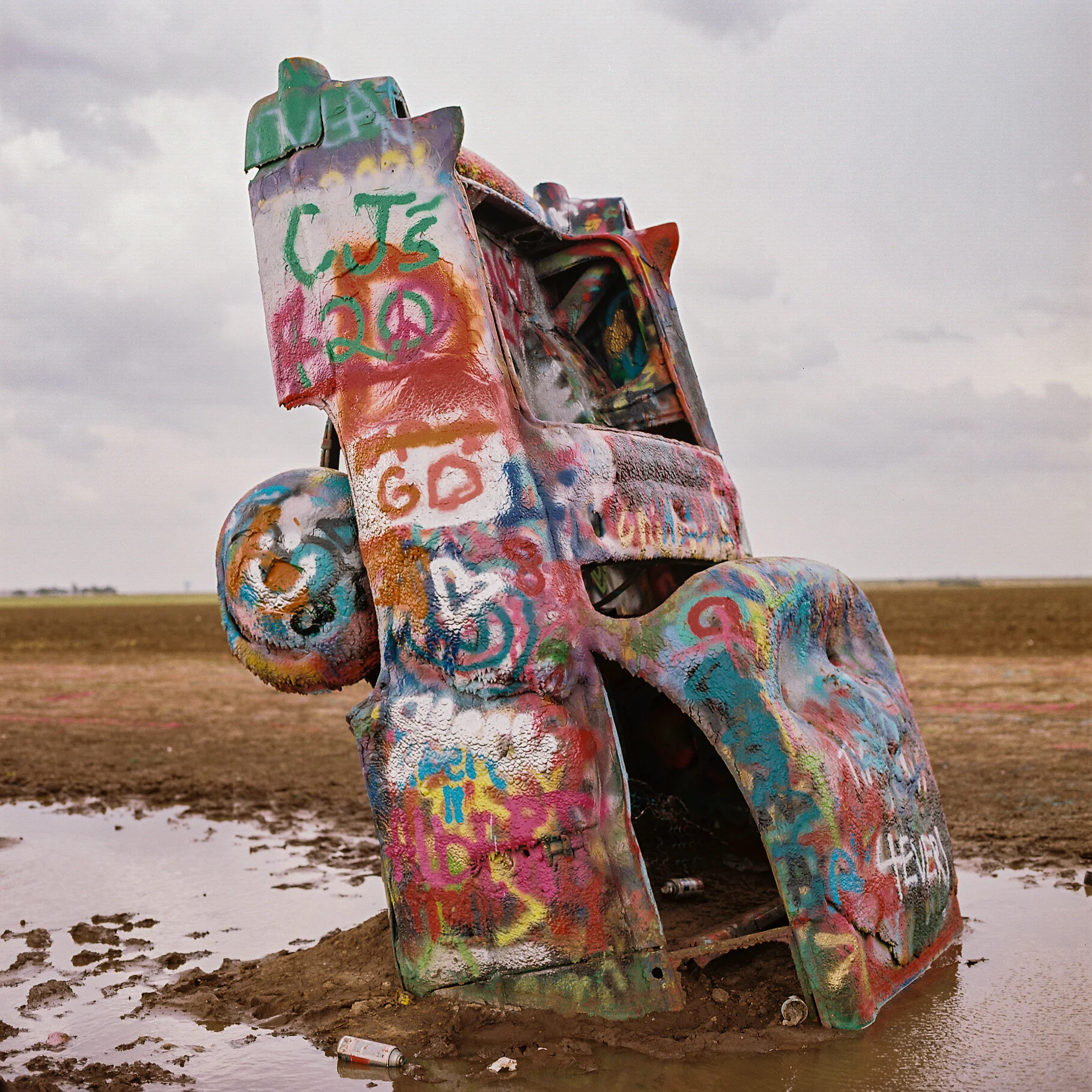 Details - Amarillo, Texas - Hasselblad 500 C/M